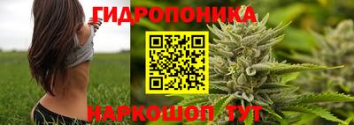 молекула духа Обнинск