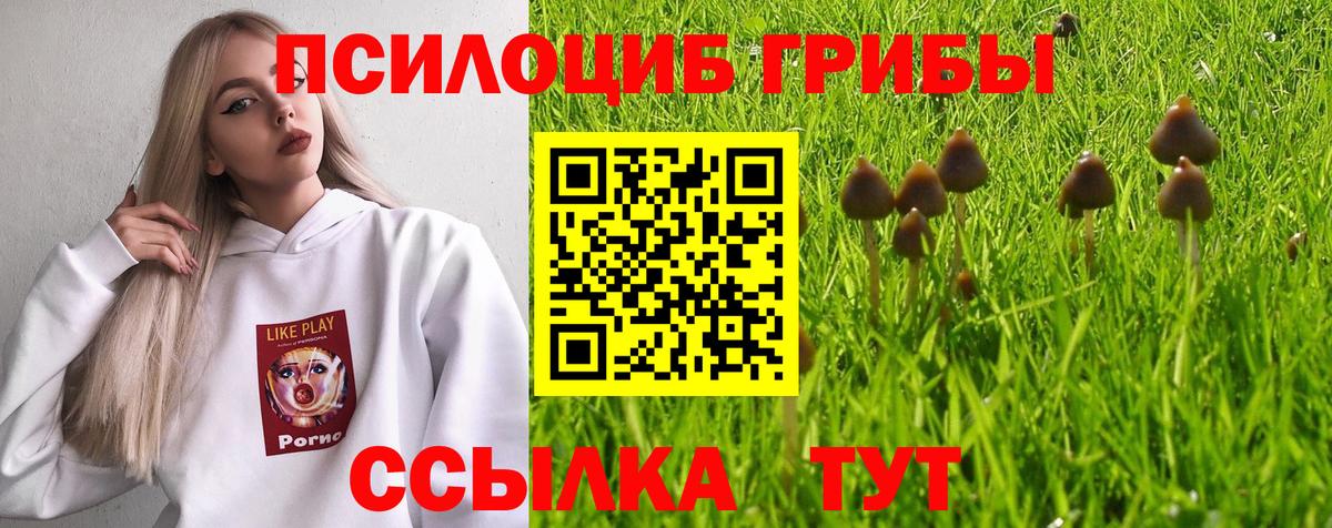 Галлюциногенные грибы Cubensis  Вход с VPN  Галлюциногенные грибы GOLDEN TEACHER  Нижнекамск 