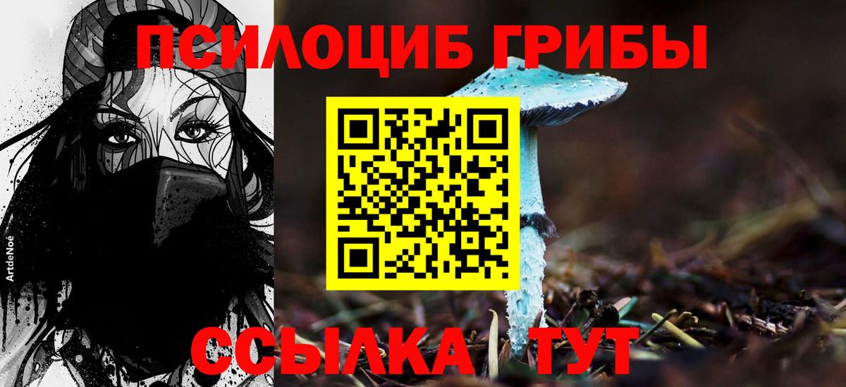 Псилоцибиновые грибы Cubensis Нижнекамск